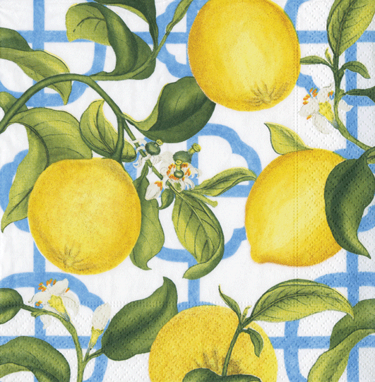 NY Botanical Garden - Seville-Cocktail Napkins - Just A Pinch Co