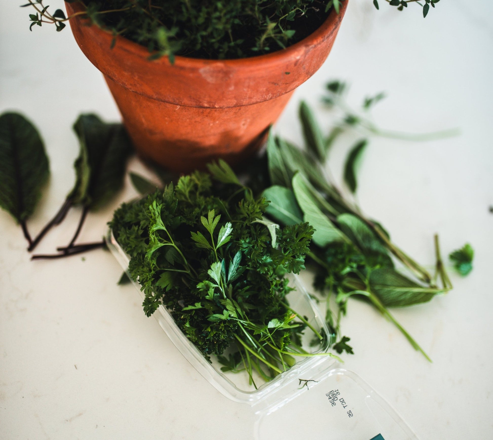 Garden Bundle - Just A Pinch Co